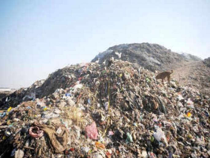 Fursungi waste projects are not aimed at 'generating electricity' | कचरा प्रकल्पांचा उद्देश ‘वीज निर्मिती’चा नाहीच : ज्ञानेश्वर मोळक Fursungi waste projects are not aimed at 'generating electricity' | कचरा प्रकल्पांचा उद्देश ‘वीज निर्मिती’चा नाहीच : ज्ञानेश्वर मोळक