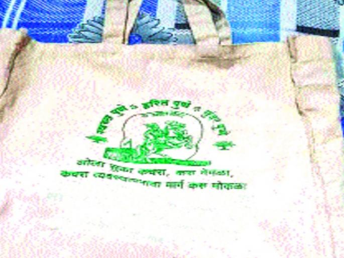 Purchase of the bags is divided into plastic | पिशव्यांच्या खरेदीचे पालिकेत फुटले पेव Purchase of the bags is divided into plastic | पिशव्यांच्या खरेदीचे पालिकेत फुटले पेव