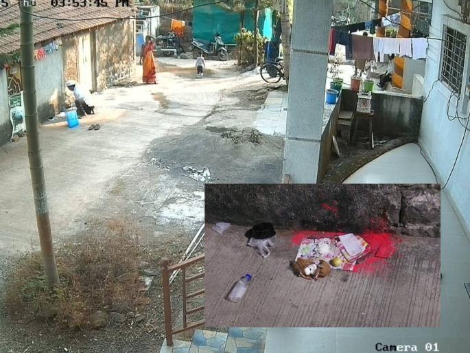 "Dahibhat, lemon, turmeric-saffron and coconut.."; Witchcraft in broad daylight in this village in Pune district? CCTV of the incident goes viral | ”दहिभात, लिंबू, हळद-कुंकू आणि नारळ..”; पुणे जिल्ह्यातील या गावात भर दिवसा जादूटोणा? घटनेचे सीसीटीव्ही व्हायरल