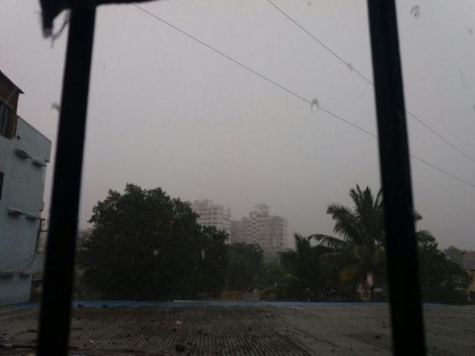 Due to cloudy weather, grape growers feared | ढगाळ वातावरणामुळे द्राक्ष उत्पादक धास्तावले