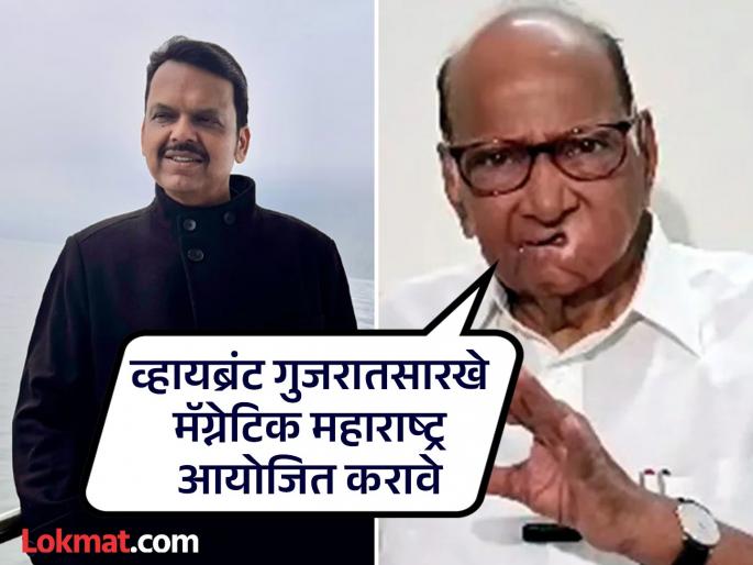 Magnetic Maharashtra should be organized like Vibrant Gujarat; Nationalist Congress demands | व्हायब्रंट गुजरातसारखे मॅग्नेटिक महाराष्ट्र आयोजित करावे;राष्ट्रवादी काँग्रेसची मागणी Magnetic Maharashtra should be organized like Vibrant Gujarat; Nationalist Congress demands | व्हायब्रंट गुजरातसारखे मॅग्नेटिक महाराष्ट्र आयोजित करावे;राष्ट्रवादी काँग्रेसची मागणी