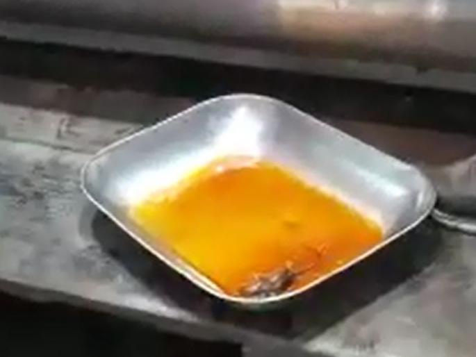 dead rat found in the sweet chutney of Samosa in Pune | पुणेकरांच्या आरोग्याशी खेळ; समोशाच्या गोड चटणीत आढळला उंदीर dead rat found in the sweet chutney of Samosa in Pune | पुणेकरांच्या आरोग्याशी खेळ; समोशाच्या गोड चटणीत आढळला उंदीर