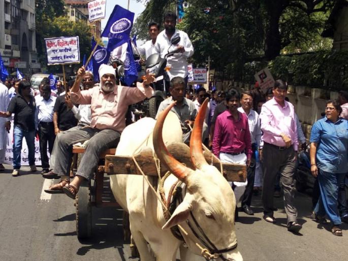 Due to the rising petrol price hikes RPI used to ride a bullock cart | वाढत्या पेट्रोल दरवाढीमुळे बैलगाडीतून नेली दुचाकी 