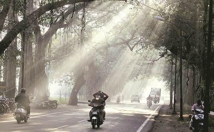 Nagpur's mercury drops by 1.4 degrees; The cold will last for a week | नागपूरचा पारा १.४ अंशाने खालावला; आठवडाभर थंडी कायम राहणार