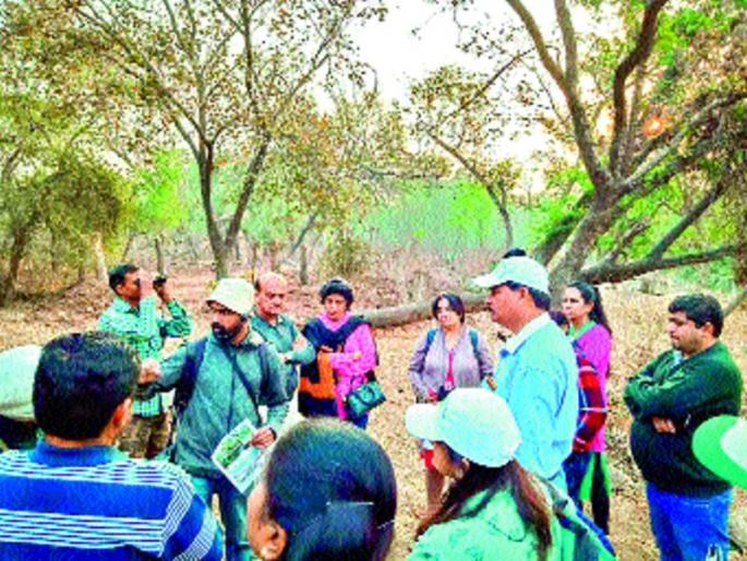 Do not harm the road due to road - Dr. Siddhartha Dhande | रस्त्यामुळे अभयारण्याला इजा नाही - डॉ. सिद्धार्थ धेंडे Do not harm the road due to road - Dr. Siddhartha Dhande | रस्त्यामुळे अभयारण्याला इजा नाही - डॉ. सिद्धार्थ धेंडे