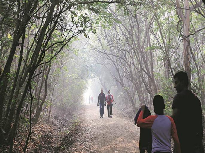 pune the temperature is expected to drop further in the nex of 2 days in maharashtra | Winter News: महाराष्ट्र गारठला; पुढील दोन दिवसात तापमानात आणखी घट होण्याची शक्यता pune the temperature is expected to drop further in the nex of 2 days in maharashtra | Winter News: महाराष्ट्र गारठला; पुढील दोन दिवसात तापमानात आणखी घट होण्याची शक्यता
