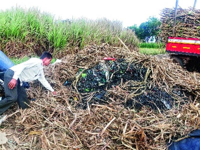 Guava pollution; Horses of a hunchback, Jagger news | गुऱ्हाळाचे प्रदूषण; गुलछडीचे पीक जळाले