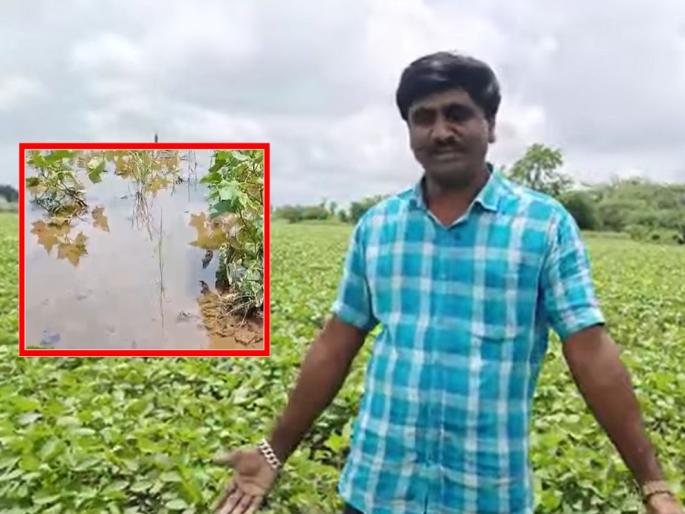 Panjabrao Dakh's own soybean crop is washed out; Rain Floods in Marathwada, Vidarbha | पंजाबराव डख यांचेच सोयाबीनचे पीक गेले वाहून; मराठवाडा, विदर्भात पुराचा हाहाकार Panjabrao Dakh's own soybean crop is washed out; Rain Floods in Marathwada, Vidarbha | पंजाबराव डख यांचेच सोयाबीनचे पीक गेले वाहून; मराठवाडा, विदर्भात पुराचा हाहाकार