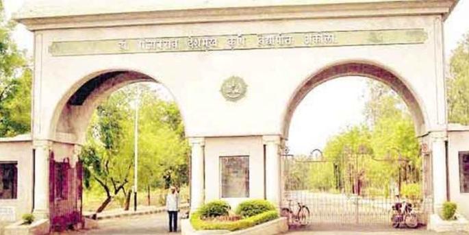 Dr. PDKV's convocation ceremony on Wednesday! |  डॉ. पंदेकृविचा दीक्षांत सोहळा बुधवारी!