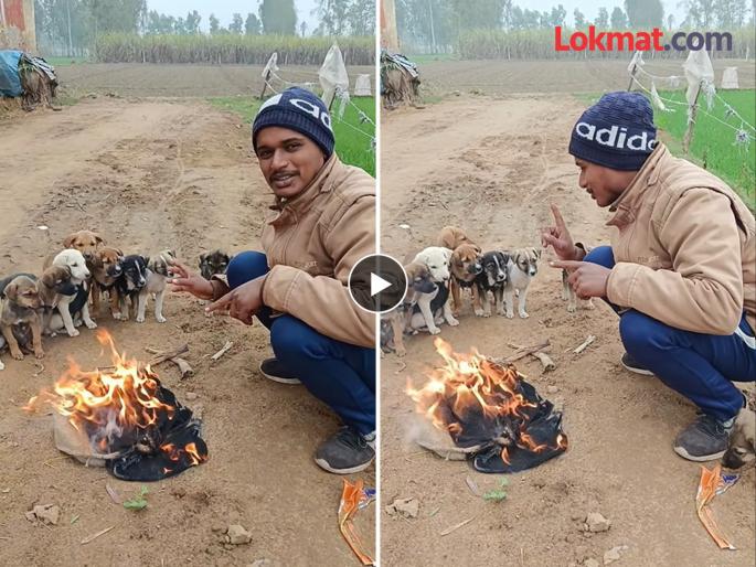 Puppies shivering from cold man protects them by lights bonfire | शाब्बास रे पठ्या! थंडीनं कुडकुडत होती कुत्र्यांची पिल्लं, तरूणानं शेकोटी पेटवून दिली त्यांना उब!