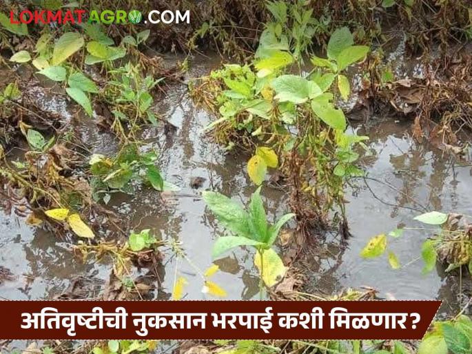 Latest News Nuksan Bharpai Find out in detail how much money will be given for any damage caused by floods | पुरामुळे झालेल्या कुठल्या नुकसानीला किती पैसे मिळणार, जाणून घ्या सविस्तर 