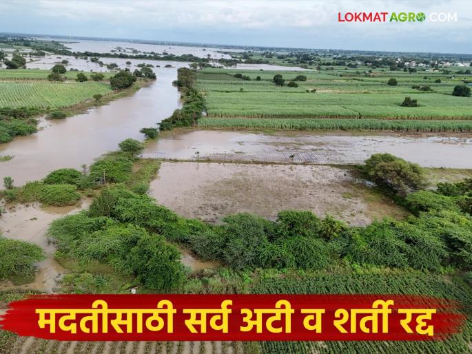 Now even farmers who do not match the criteria will get help, drought relief also applicable; Read in detail | आता निकषात न बसणाऱ्या शेतकऱ्यांनाही मिळणार मदत, दुष्काळी सवलतीही लागू; वाचा सविस्तर