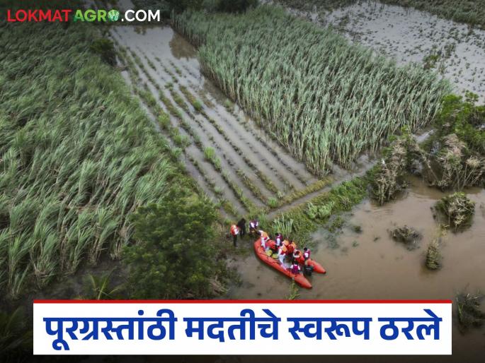What did the flood victims get in the cabinet meeting? What concessions and how much help? Read in detail | मंत्रिमंडळ बैठकीत पूरग्रस्तांना काय मिळाले? कोणत्या सवलती आणि किती मदत? वाचा सविस्तर What did the flood victims get in the cabinet meeting? What concessions and how much help? Read in detail | मंत्रिमंडळ बैठकीत पूरग्रस्तांना काय मिळाले? कोणत्या सवलती आणि किती मदत? वाचा सविस्तर