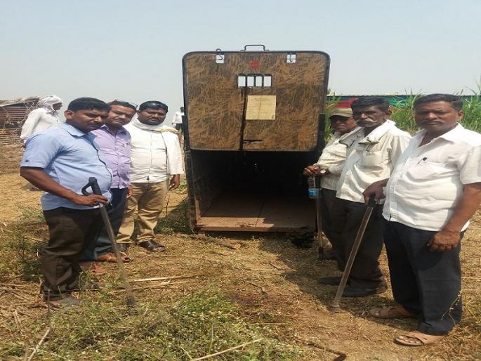 leopard in purnas devthana area | परभणीतील देवठाणा परिसरात बिबट्याची दहशत leopard in purnas devthana area | परभणीतील देवठाणा परिसरात बिबट्याची दहशत