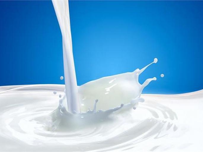 Akola Zilla Parishad will launch 'Dudhpurna' program | अकोला जिल्हा परिषद राबविणार ‘दूधपूर्णा’ उपक्रम Akola Zilla Parishad will launch 'Dudhpurna' program | अकोला जिल्हा परिषद राबविणार ‘दूधपूर्णा’ उपक्रम