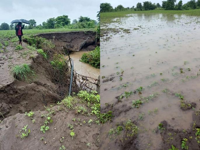 damage to crops on 9 lakh hectares in the state due to heavy rains: farmers facing crores of crop loss | ९ लाख हेक्टरवरील पिके गेली पाण्यात; अतिवृष्टीने शेतकऱ्यांचे कोट्यवधींचे नुकसान damage to crops on 9 lakh hectares in the state due to heavy rains: farmers facing crores of crop loss | ९ लाख हेक्टरवरील पिके गेली पाण्यात; अतिवृष्टीने शेतकऱ्यांचे कोट्यवधींचे नुकसान