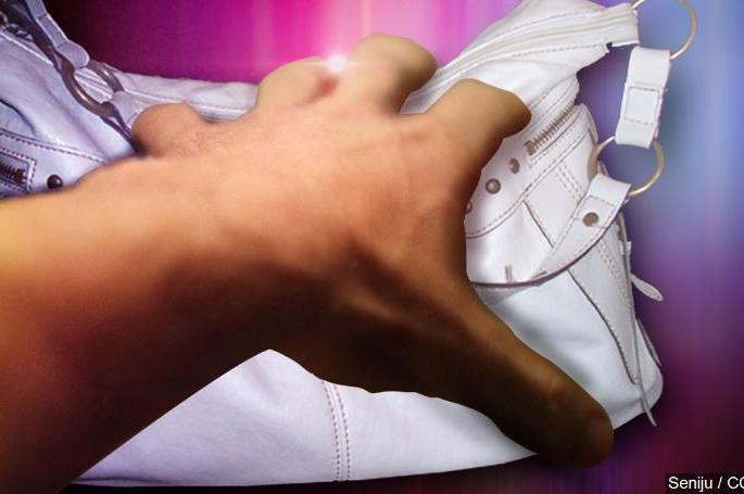  Women injured after pulling down the purse | पर्स खेचताना खाली पडून महिला जखमी