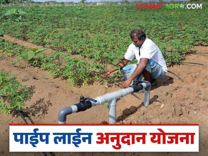 Latest News Pipe Line Scheme Subsidy Upload documents if eligible under pipeline scheme read in detail | Pipe Line Yojana : पाईपलाईन योजनेचा मॅसेज आला का? सात दिवसांत 'हे' काम कराच, वाचा सविस्तर  Latest News Pipe Line Scheme Subsidy Upload documents if eligible under pipeline scheme read in detail | Pipe Line Yojana : पाईपलाईन योजनेचा मॅसेज आला का? सात दिवसांत 'हे' काम कराच, वाचा सविस्तर
