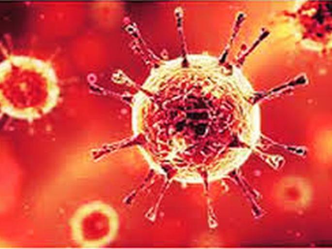 Coronavirus in Akola: 37 positive during the day, total number of patients at 257 | CoronaVirus in Akola : दिवसभरात ३७ पॉझिटिव्ह, एकूण रुग्णसंख्या २५७ वर Coronavirus in Akola: 37 positive during the day, total number of patients at 257 | CoronaVirus in Akola : दिवसभरात ३७ पॉझिटिव्ह, एकूण रुग्णसंख्या २५७ वर
