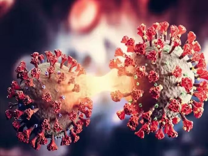 22 new patients of Corona in the state, 10 new patients in Mumbai Corona patients are decreasing | राज्यात कोरोनाचे २२, तर मुंबईत १० नवे रुग्ण 22 new patients of Corona in the state, 10 new patients in Mumbai Corona patients are decreasing | राज्यात कोरोनाचे २२, तर मुंबईत १० नवे रुग्ण