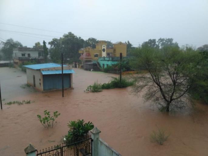 cloud burst in Chandrapur district; Cotton turned yellow, soybeans spoiled | चंद्रपूर जिल्ह्यात आभाळ फाटले; कापूस पिवळा पडला, सोयाबीन नासले cloud burst in Chandrapur district; Cotton turned yellow, soybeans spoiled | चंद्रपूर जिल्ह्यात आभाळ फाटले; कापूस पिवळा पडला, सोयाबीन नासले