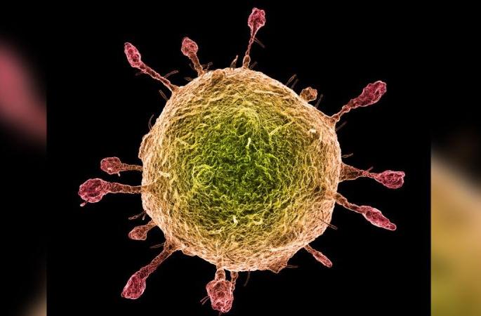 Exciting! Corona infection in travelers from West Africa to Nagpur | खळबळजनक! पश्चिम आफ्रिकेतून नागपुरात आलेल्या प्रवाशाला कोरोनाचा संसर्ग Exciting! Corona infection in travelers from West Africa to Nagpur | खळबळजनक! पश्चिम आफ्रिकेतून नागपुरात आलेल्या प्रवाशाला कोरोनाचा संसर्ग