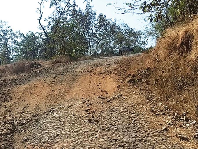 Waiting for wind repairs to Jambulwadi road; Rural conditions due to the dirt road | वारे जांभूळवाडी रस्ता दुरुस्तीच्या प्रतीक्षेत; खड्डेमय रस्त्यामुळे ग्रामस्थांचे हाल Waiting for wind repairs to Jambulwadi road; Rural conditions due to the dirt road | वारे जांभूळवाडी रस्ता दुरुस्तीच्या प्रतीक्षेत; खड्डेमय रस्त्यामुळे ग्रामस्थांचे हाल