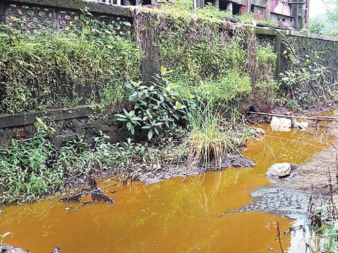 Dead fish in drains in Mahad Industrial Area; Chemical sewage is released into drains | महाड औद्योगिक क्षेत्रातील नाल्यात मृत मासे; रासायनिक सांडपाणी सोडले नाल्यात Dead fish in drains in Mahad Industrial Area; Chemical sewage is released into drains | महाड औद्योगिक क्षेत्रातील नाल्यात मृत मासे; रासायनिक सांडपाणी सोडले नाल्यात