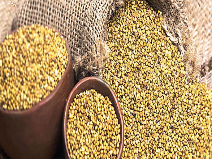 Clients prefer millet due to winter; Sales of 8 to 90 tonnes per day in Mumbai | हिवाळ्यामुळे ग्राहकांची बाजरीला पसंती; मुंबईत प्रतिदिन ५० ते ९० टन विक्री Clients prefer millet due to winter; Sales of 8 to 90 tonnes per day in Mumbai | हिवाळ्यामुळे ग्राहकांची बाजरीला पसंती; मुंबईत प्रतिदिन ५० ते ९० टन विक्री