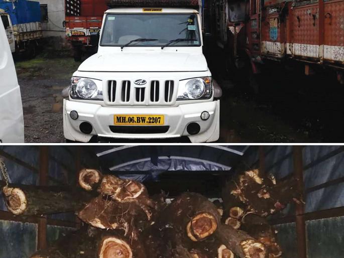 Action on pickups filled with utensils | भांडीवलीत खैर भरलेल्या पिकअपवर कारवाई Action on pickups filled with utensils | भांडीवलीत खैर भरलेल्या पिकअपवर कारवाई