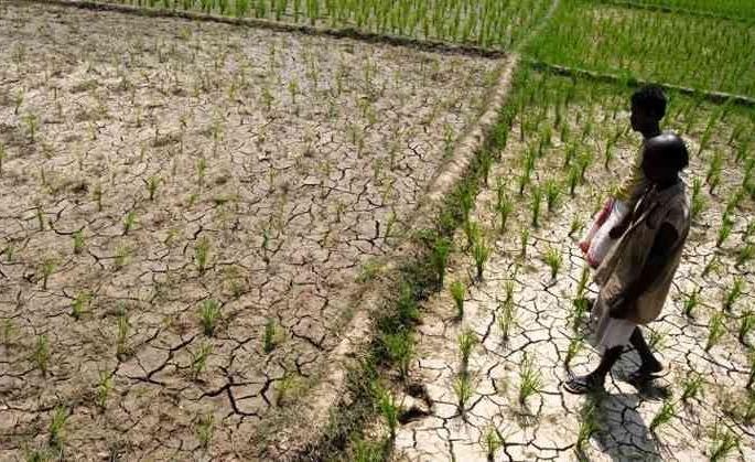 Three young farmers commit suicide in Yavatmal district | चिंताजनक; यवतमाळ जिल्ह्यात तीन युवा शेतकऱ्यांची आत्महत्या