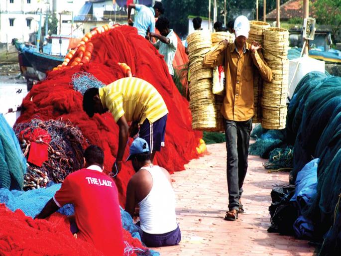Fishing begins August 1; | मासेमारी १ ऑगस्टपासून होणार सुरू Fishing begins August 1; | मासेमारी १ ऑगस्टपासून होणार सुरू
