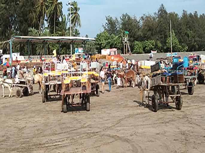 District tourism professional; Returning rain and bad roads hit | जिल्ह्यातील पर्यटन व्यावसायिक हवालदिल; परतीचा पाऊस अन् खराब रस्त्यांचा फटका District tourism professional; Returning rain and bad roads hit | जिल्ह्यातील पर्यटन व्यावसायिक हवालदिल; परतीचा पाऊस अन् खराब रस्त्यांचा फटका