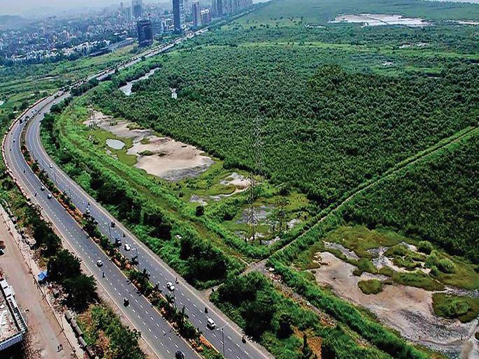 The future of CRZ's well-known '90s' buildings is in the dark | सीआरझेडचा विळख्यात ‘त्या’ ११९ इमारतींचे भवितव्य अंधारात The future of CRZ's well-known '90s' buildings is in the dark | सीआरझेडचा विळख्यात ‘त्या’ ११९ इमारतींचे भवितव्य अंधारात