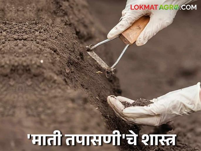 Want to test your soil? Then take the sample in this way; you will get more benefits and accurate advice. | माती तपासणी करायची आहे? मग 'या' पद्धतीने घ्या नमूना; होईल अधिक फायदा सोबत मिळेल अचूक सल्ला Want to test your soil? Then take the sample in this way; you will get more benefits and accurate advice. | माती तपासणी करायची आहे? मग 'या' पद्धतीने घ्या नमूना; होईल अधिक फायदा सोबत मिळेल अचूक सल्ला