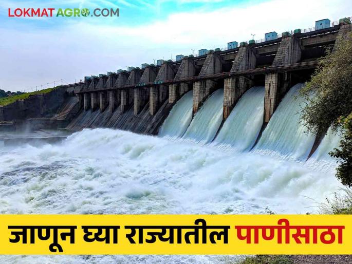 Maharashtra Dam Storage Updated water storage information in the state; Read where is discharge, or where water is coming in | Maharashtra Dam Storage राज्यातील अद्यावत पाणीसाठा माहिती; वाचा कुठे विसर्ग तर कुठे सुरू आहे पाण्याची आवक Maharashtra Dam Storage Updated water storage information in the state; Read where is discharge, or where water is coming in | Maharashtra Dam Storage राज्यातील अद्यावत पाणीसाठा माहिती; वाचा कुठे विसर्ग तर कुठे सुरू आहे पाण्याची आवक