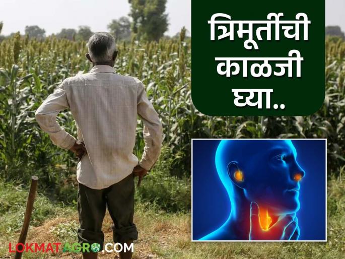 Work hard in the fields; but also keep your health intact, farmer brothers | शेतात काम नक्की करा कष्टाचे; मात्र आरोग्य देखील अबाधित राखा शेतकरी दादांनो आपआपले Work hard in the fields; but also keep your health intact, farmer brothers | शेतात काम नक्की करा कष्टाचे; मात्र आरोग्य देखील अबाधित राखा शेतकरी दादांनो आपआपले