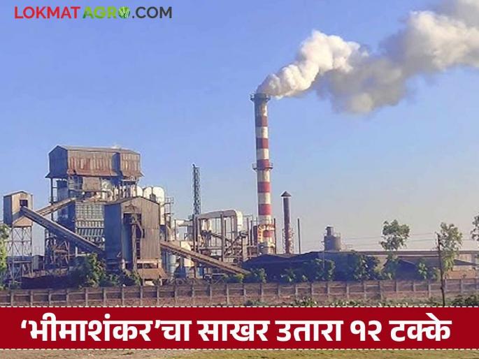 'Bhimashankar' sugar factory successfully concluded by producing 12 lakh 55 thousand bags of sugar | 'भीमाशंकर' साखर कारखान्याने १२ लाख ५५ हजार साखर पोती उत्पादित करून केली यशस्वी सांगता 'Bhimashankar' sugar factory successfully concluded by producing 12 lakh 55 thousand bags of sugar | 'भीमाशंकर' साखर कारखान्याने १२ लाख ५५ हजार साखर पोती उत्पादित करून केली यशस्वी सांगता