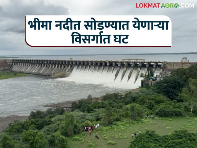 Decrease in discharge from Daund into Ujni and from Ujni into Bhima river | दौंड येथून उजनीत तर उजनीतून भीमा नदीत सोडण्यात येणाऱ्या विसर्गात घट Decrease in discharge from Daund into Ujni and from Ujni into Bhima river | दौंड येथून उजनीत तर उजनीतून भीमा नदीत सोडण्यात येणाऱ्या विसर्गात घट