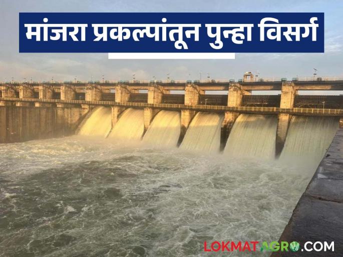 Manjara project releases water again; 8735.70 cusecs of water continues to be released into the Manjara river basin | मांजरा प्रकल्पांतून पुन्हा विसर्ग; मांजरा नदीपात्रात ८७३५.७० क्युसेक पाण्याचा विसर्ग सुरू Manjara project releases water again; 8735.70 cusecs of water continues to be released into the Manjara river basin | मांजरा प्रकल्पांतून पुन्हा विसर्ग; मांजरा नदीपात्रात ८७३५.७० क्युसेक पाण्याचा विसर्ग सुरू