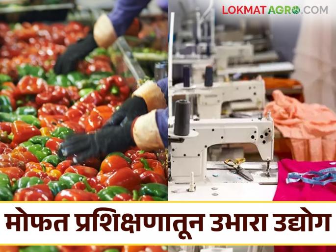 Food Processing Training: Want to start your own business? Free food processing training is available here | Food Processing Taining : स्वतःचा उद्योग उभारायचा आहे का? 'येथे' मिळतंय मोफत फूड प्रोसेसिंगचे प्रशिक्षण Food Processing Training: Want to start your own business? Free food processing training is available here | Food Processing Taining : स्वतःचा उद्योग उभारायचा आहे का? 'येथे' मिळतंय मोफत फूड प्रोसेसिंगचे प्रशिक्षण