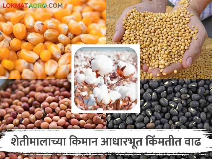 Huge increase in minimum support price of agricultural products; How much price for which crop? Read in detail | शेतीमालाच्या किमान आधारभूत किंमतीत मोठी वाढ; कोणत्या पिकाला किती दर? वाचा सविस्तर