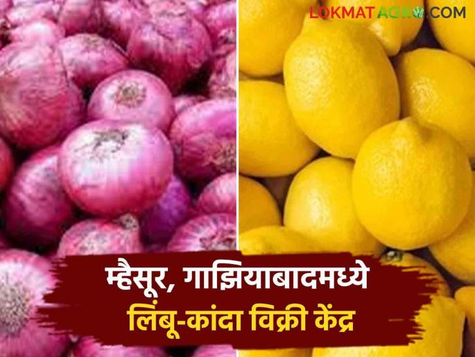 Decision of Srigonda Bazaar Committee; Onion and lemon farmers in Mysore, Ghaziabad will benefit | श्रीगोंदा बाजार समितीचा निर्णय; म्हैसूर, गाझियाबादमधील कांदा आणि लिंबू उत्पादक शेतकऱ्यांना होणार फायदा Decision of Srigonda Bazaar Committee; Onion and lemon farmers in Mysore, Ghaziabad will benefit | श्रीगोंदा बाजार समितीचा निर्णय; म्हैसूर, गाझियाबादमधील कांदा आणि लिंबू उत्पादक शेतकऱ्यांना होणार फायदा