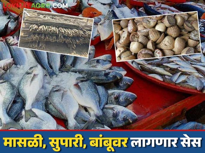 Now tax will be levied on fish, betel nut, bamboo; Decision of 'Ya' market committee in the state | आता मासळी, सुपारी, बांबूवर करणार कर आकारणी; राज्यातील 'या' बाजार समितीचा निर्णय Now tax will be levied on fish, betel nut, bamboo; Decision of 'Ya' market committee in the state | आता मासळी, सुपारी, बांबूवर करणार कर आकारणी; राज्यातील 'या' बाजार समितीचा निर्णय