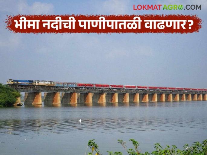 Discharge from Ujjain increased; Fifteen thousand cusecs are being discharged into Bhima river to keep the flood situation under control | उजनीतून विसर्ग वाढला; पूरस्थिती नियंत्रणात ठेवण्यासाठी भीमा नदीत होतोय पंधरा हजार क्युसेक विसर्ग Discharge from Ujjain increased; Fifteen thousand cusecs are being discharged into Bhima river to keep the flood situation under control | उजनीतून विसर्ग वाढला; पूरस्थिती नियंत्रणात ठेवण्यासाठी भीमा नदीत होतोय पंधरा हजार क्युसेक विसर्ग