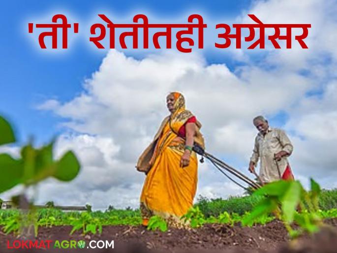 Lakshmi of the house became the owner of the land; The situation is clear from the agricultural census | घरची लक्ष्मी बनली जमिनीची मालक; कृषी गणनेतून स्थिती स्पष्ट Lakshmi of the house became the owner of the land; The situation is clear from the agricultural census | घरची लक्ष्मी बनली जमिनीची मालक; कृषी गणनेतून स्थिती स्पष्ट