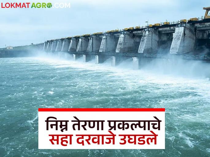 Six gates of Lower Terna project opened; Alert issued to villages along the river | निम्न तेरणा प्रकल्पाचे सहा दरवाजे उघडले; नदीकाठच्या गावांना सतर्कतेचा इशारा