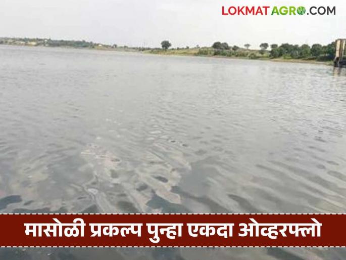 4 projects including Masoli Medium Project in Parbhani district overflow; All gates of Muli Dam also opened | परभणी जिल्ह्यातील मासोळी मध्यम प्रकल्पासह ४ प्रकल्प ओव्हर फ्लो; मुळी बंधाऱ्याचे देखील सर्व दरवाजे उघडले 4 projects including Masoli Medium Project in Parbhani district overflow; All gates of Muli Dam also opened | परभणी जिल्ह्यातील मासोळी मध्यम प्रकल्पासह ४ प्रकल्प ओव्हर फ्लो; मुळी बंधाऱ्याचे देखील सर्व दरवाजे उघडले