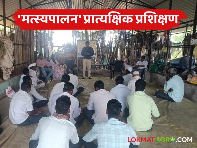 Fish Farming: Add fish farming to agriculture; Get good financial profit from the farm pond | Fish Farming : शेतीला द्या मत्स्य शेतीची जोड; शेततळ्यातून मिळवा चांगला आर्थिक नफा