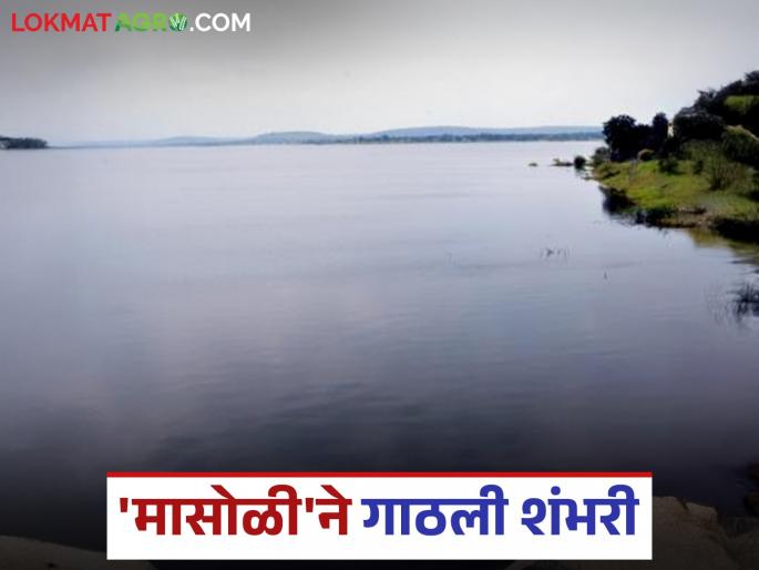Gangakhed's Masoli Medium Project reaches 100 years; Ranisavargaon Lake on the verge of filling | गंगाखेडच्या मासोळी मध्यम प्रकल्पाने गाठली शंभरी; राणीसावरगाव तलाव भरण्याच्या उंबरठ्यावर